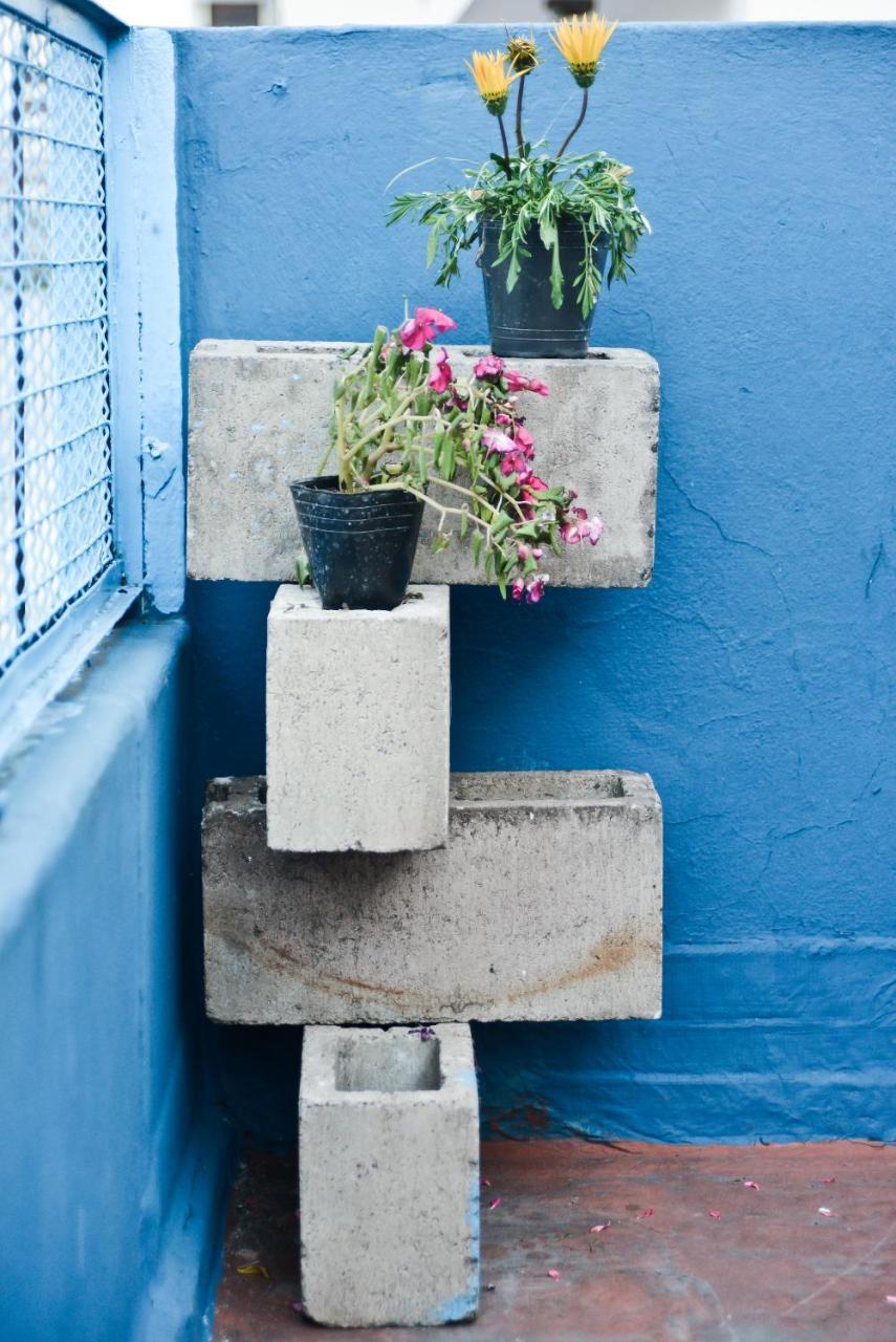 Pampa Belgrano Hostel Buenos Aires