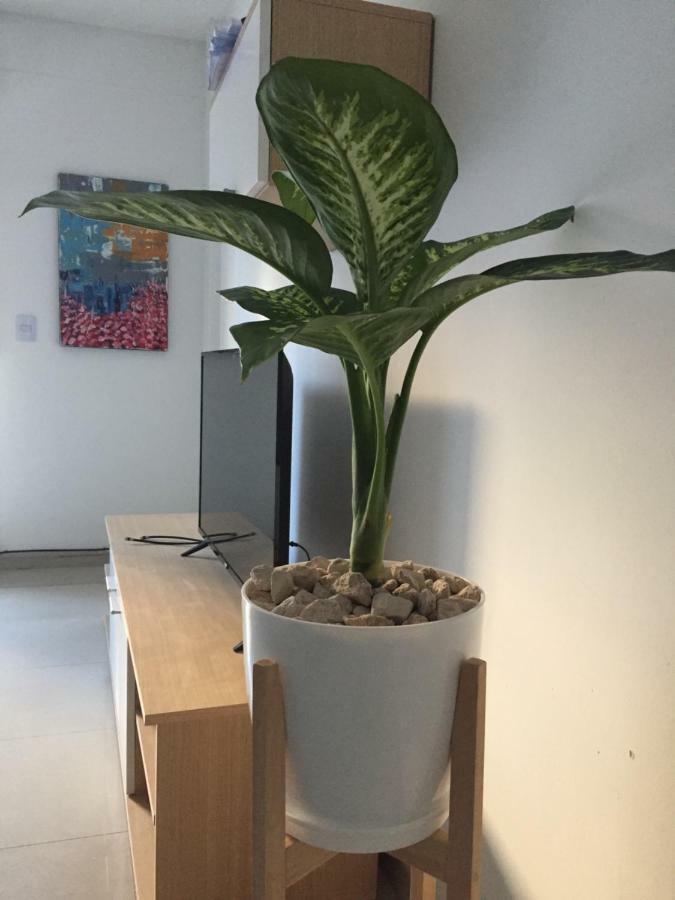 Apartment Trendy Full In Recoleta